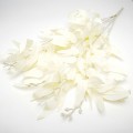 Додатки до композиції (д. 50 см.) 93298