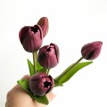 Тюльпани "гелеві" букет 5 шт. 92989