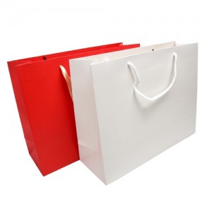 Пакети паперові 12 шт. (32 х 25 х 11 см.) 6-5644