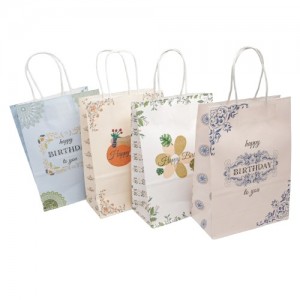 Пакети паперові 12 шт. (22 х 16 х 8 см.) 6-5642