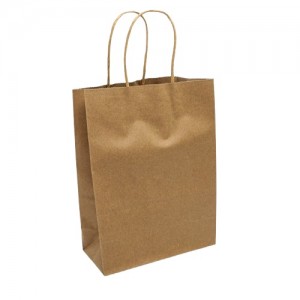 Пакети паперові 12 шт. (21.5 х 16 х 8 см.) 6-5635